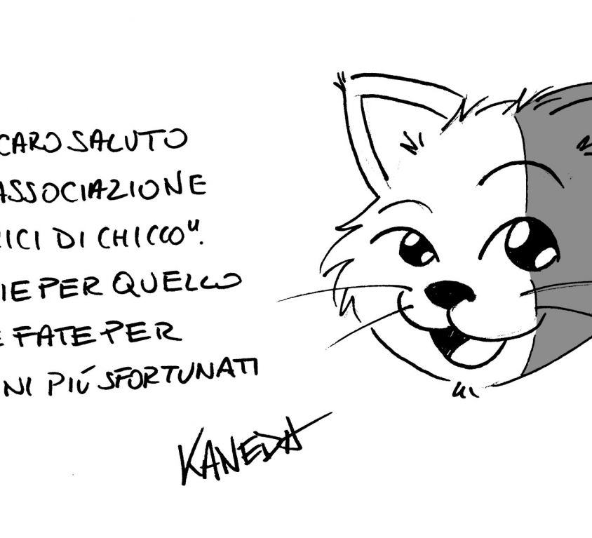 amici-di-chicco-kaneda