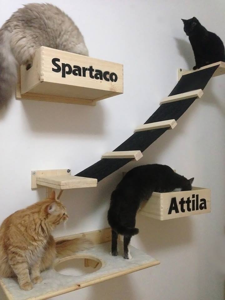 gatto arredo