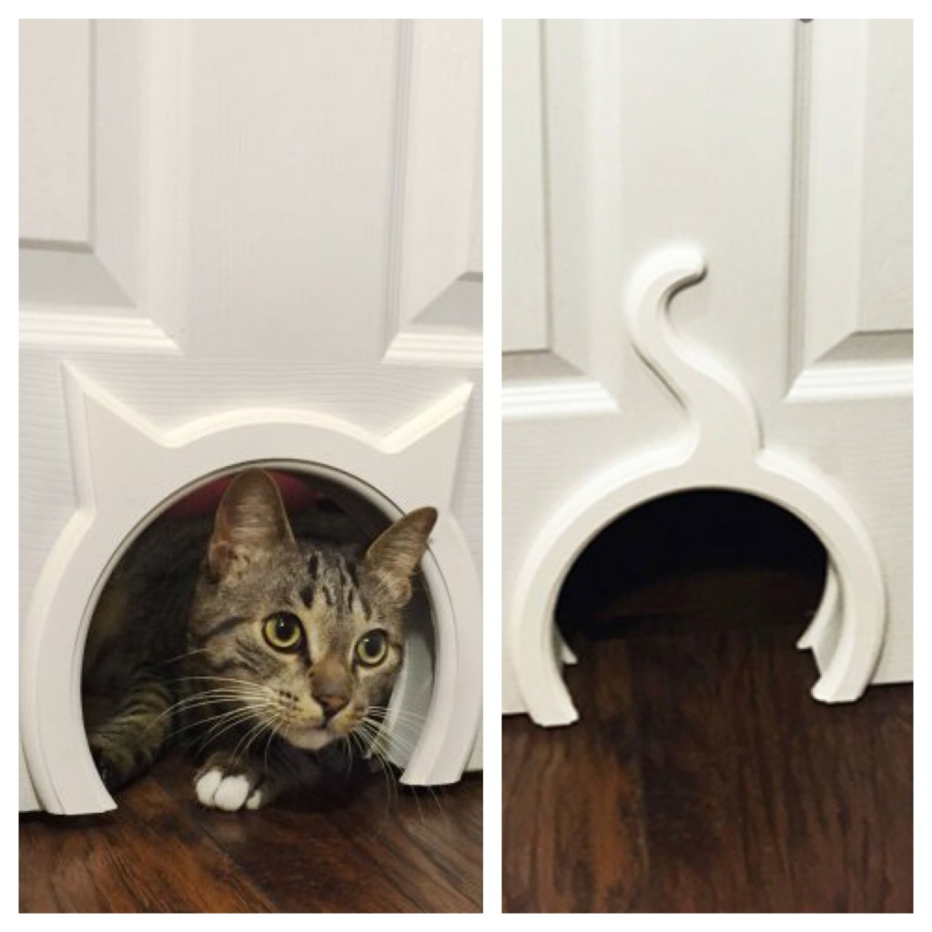 cat door