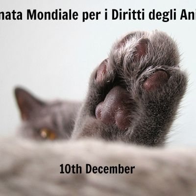 giornatamondiale