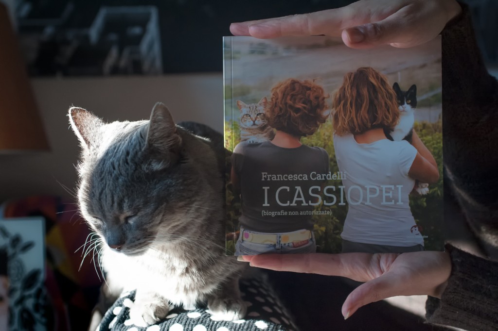 I cassiopei libro