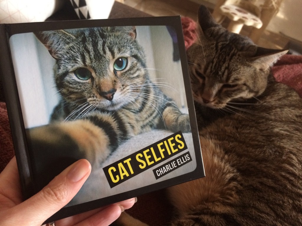 cat selfies