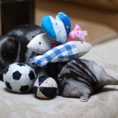 headpressing22