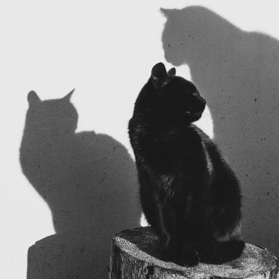 sunbathing