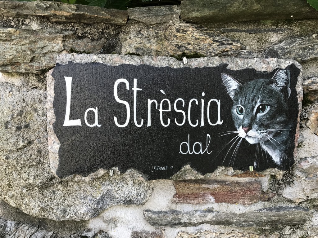 Brolo Paese dei GAtti