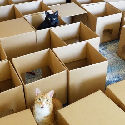 coleAndMarmalade