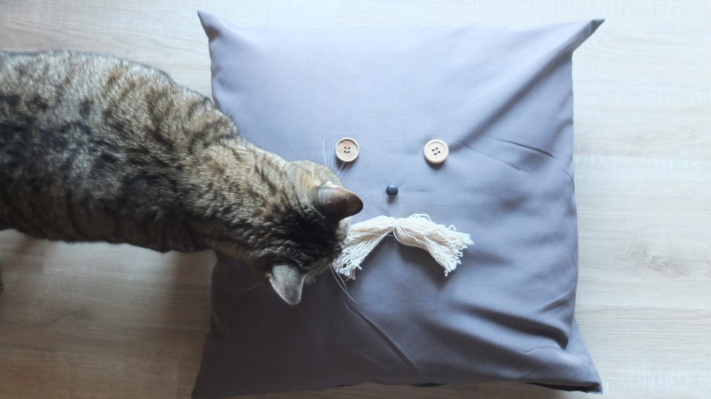 cuscino gatto