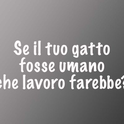 Seiltuogattofosseumano-1
