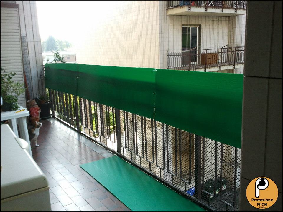 terrazza in sicurezza gatti