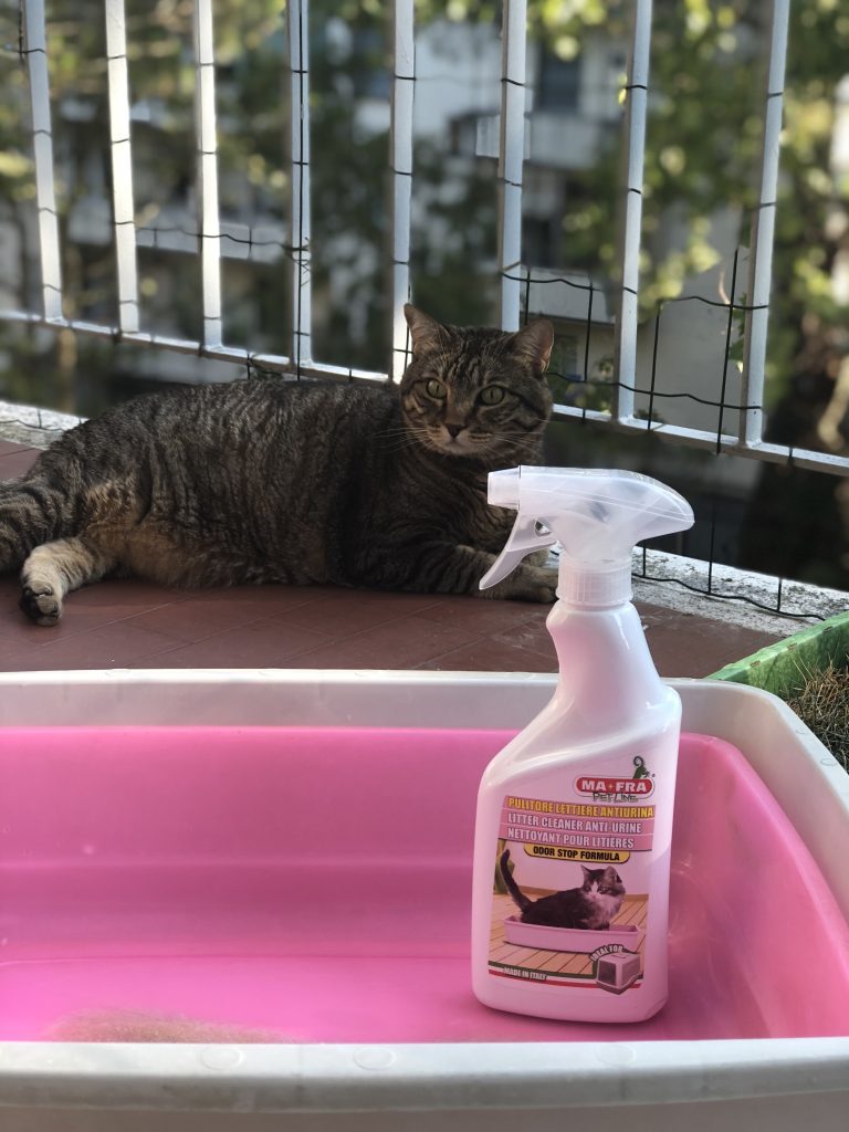 pulire lettiera gatto