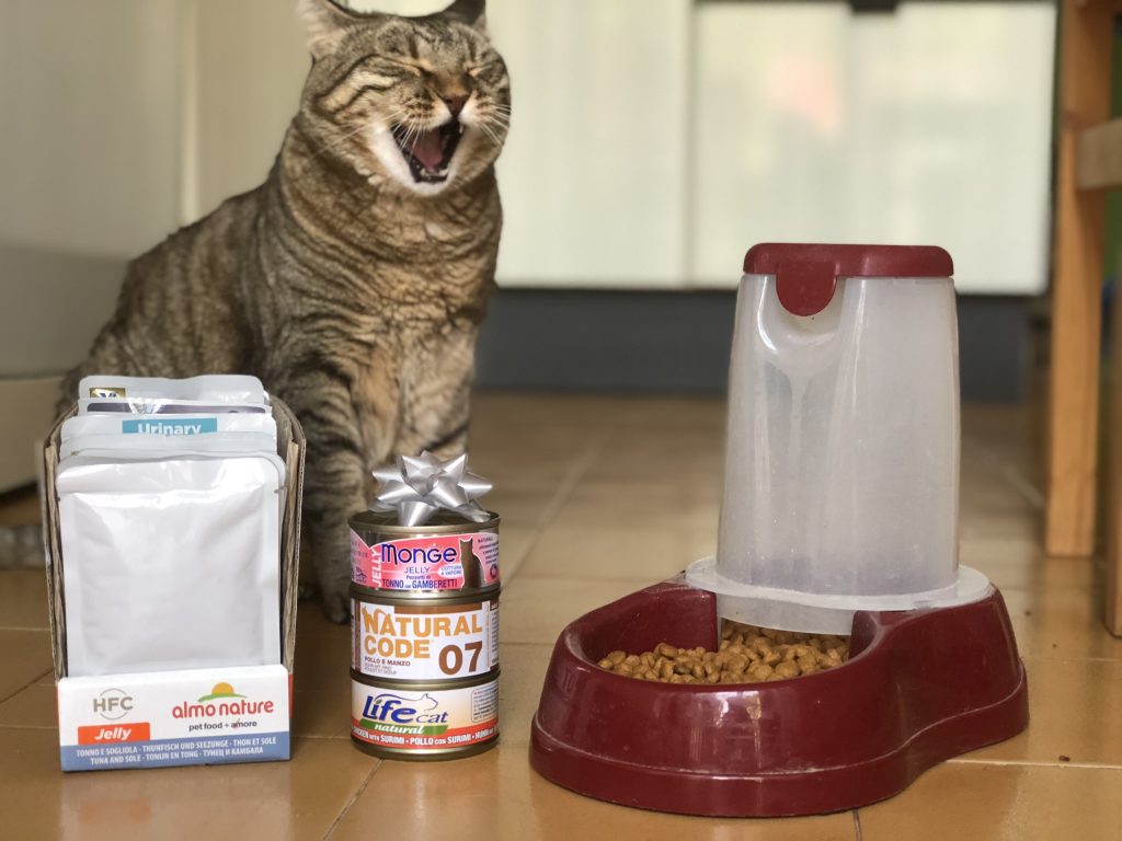 gatto pet food