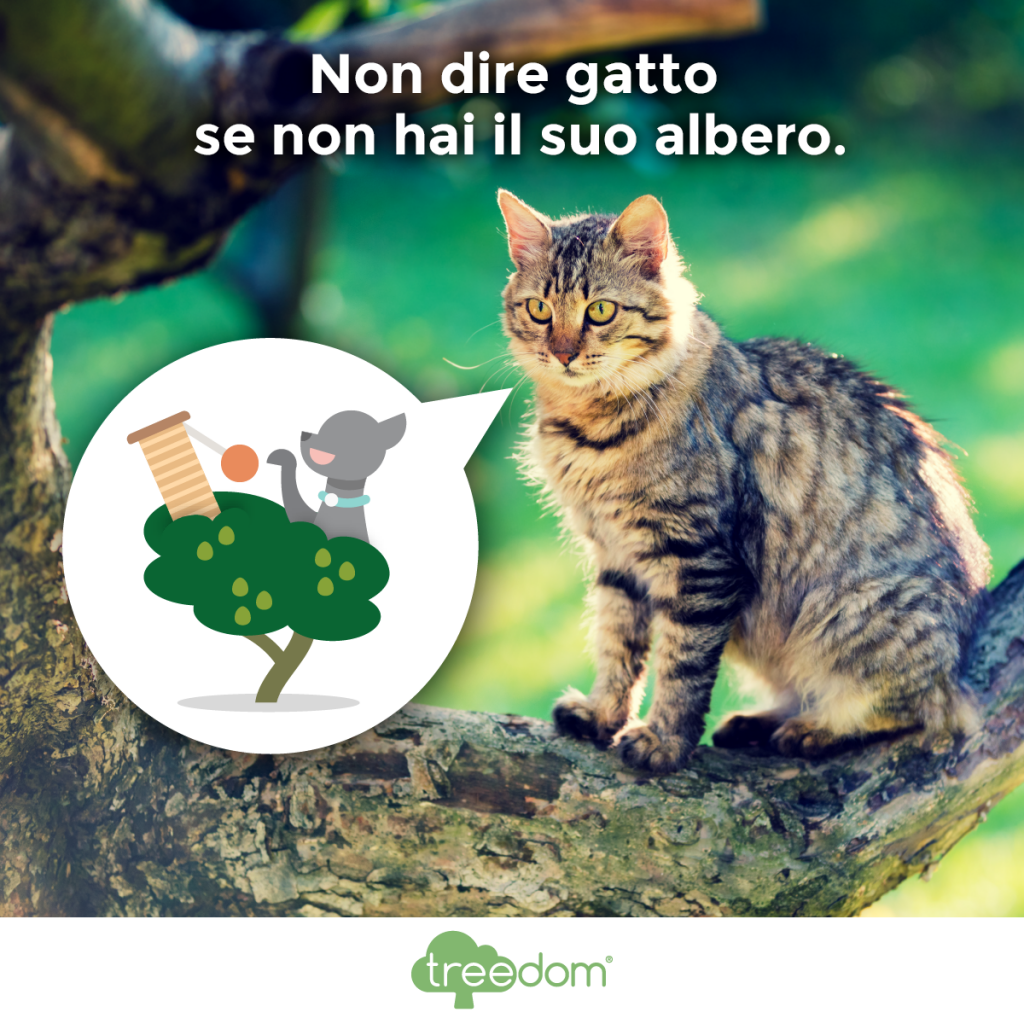 La Foresta degli Animali