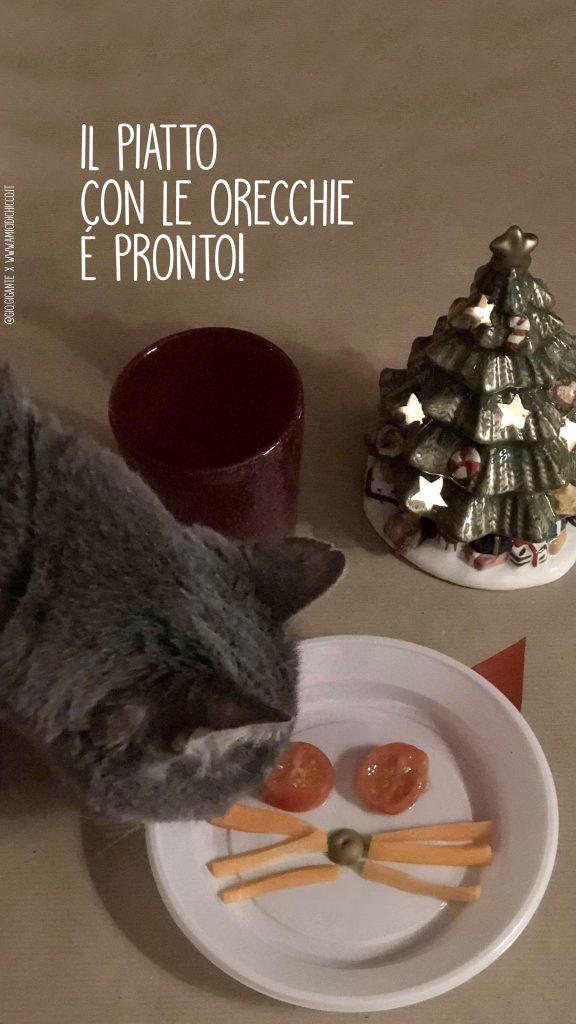 DIY Natale Gatto
