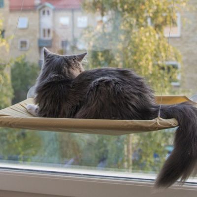 amaca-per-gatti-2