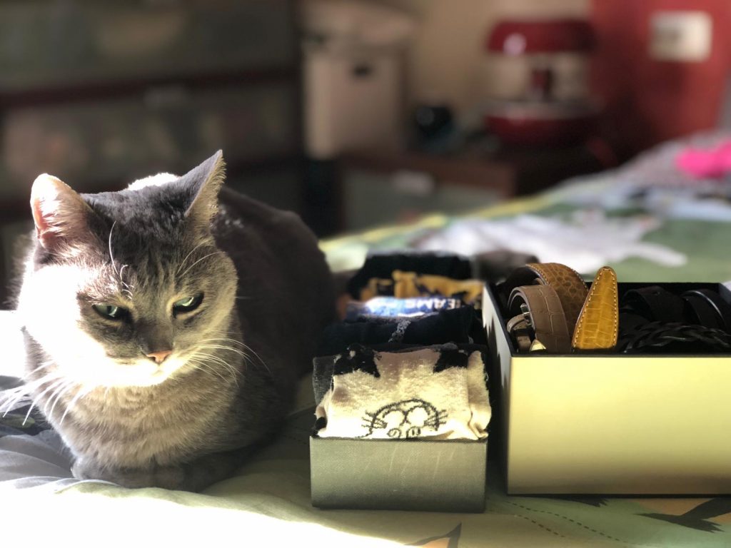 metodo konmari gatto