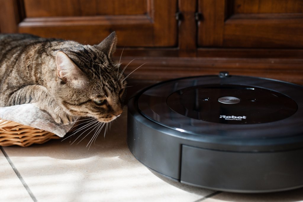 gatto roomba