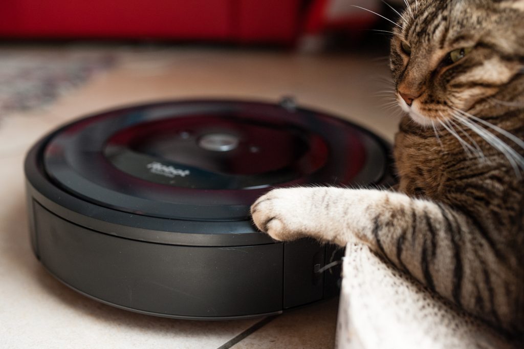 gatto roomba