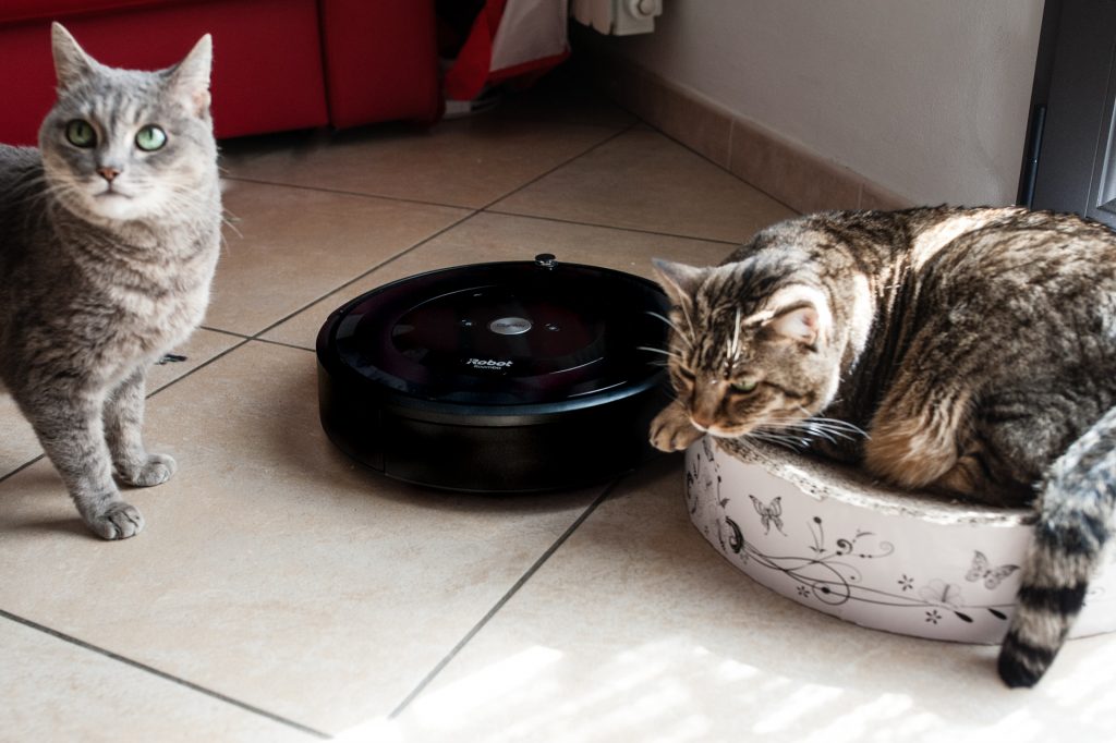 gatti roomba