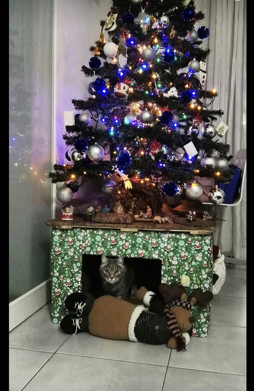 gatto albero natale