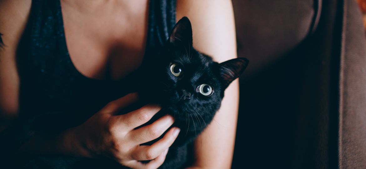 person-carrying-black-cat-1123999