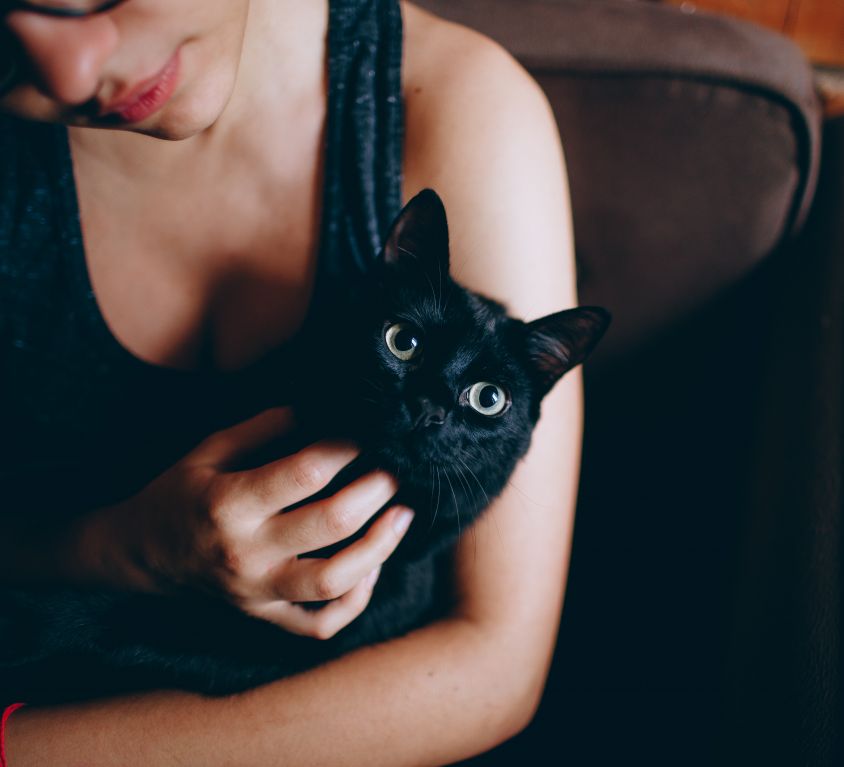 person-carrying-black-cat-1123999