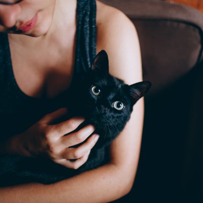 person-carrying-black-cat-1123999